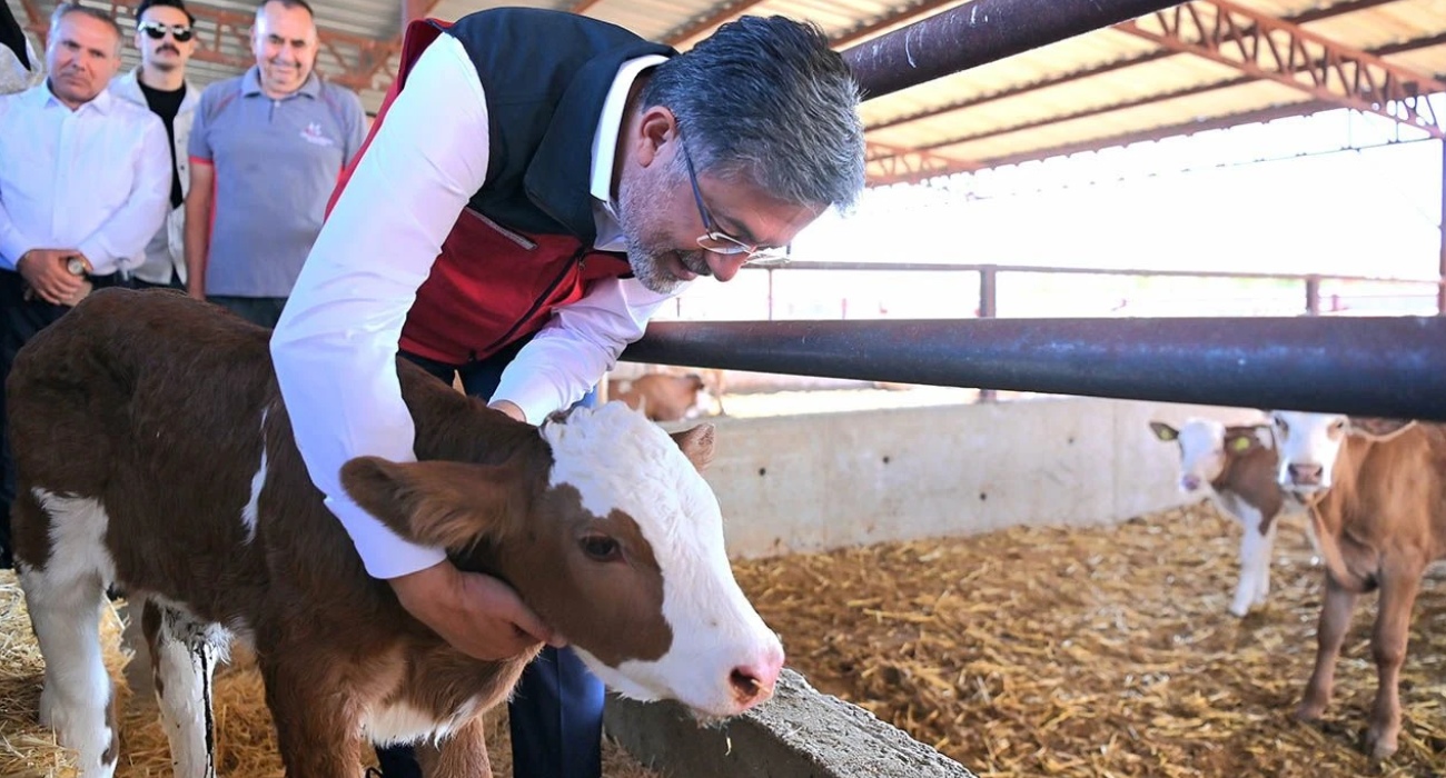 Hastalıktan Ari İşletme Nedir? Neden Önemlidir?