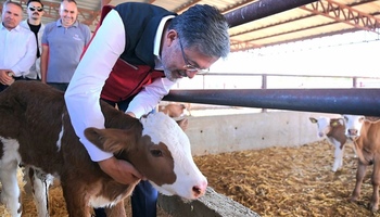 Hastalıktan Ari İşletme Nedir? Neden Önemlidir?